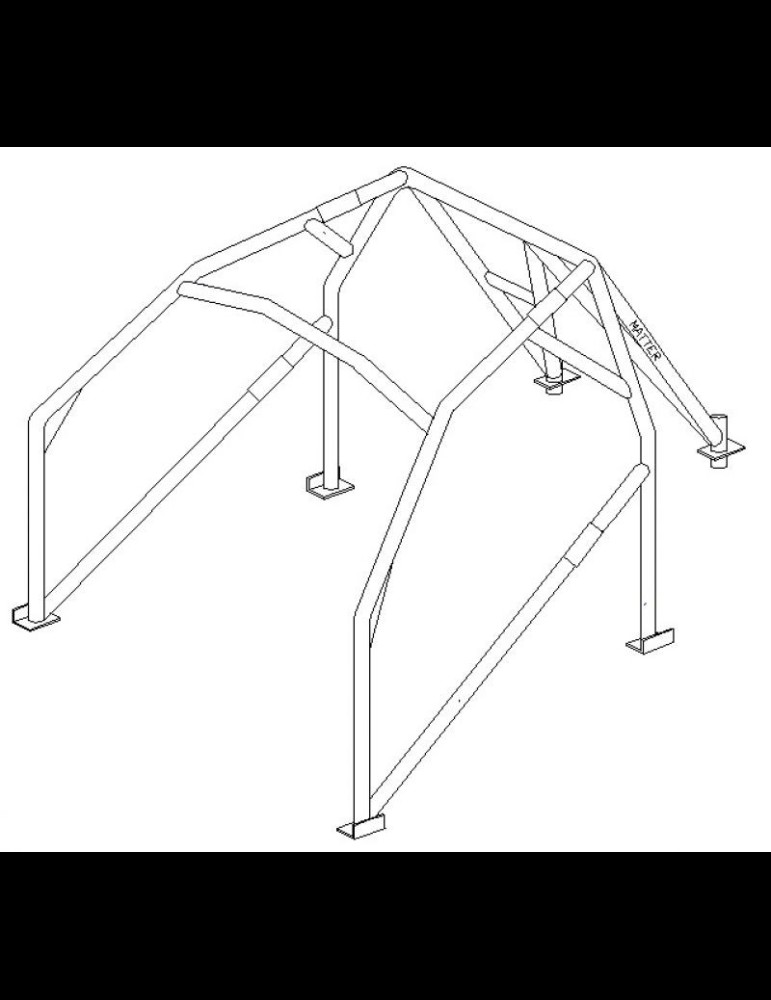 Arceau 106 6 points FIA