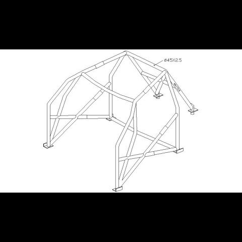 Arceau 206 XS 6 points FIA Flying