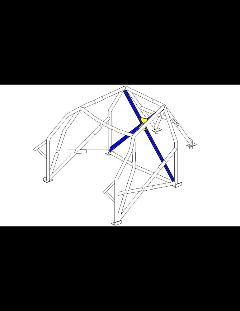Evo FIA F2000 Multipoint Steering Wheel 206 XS