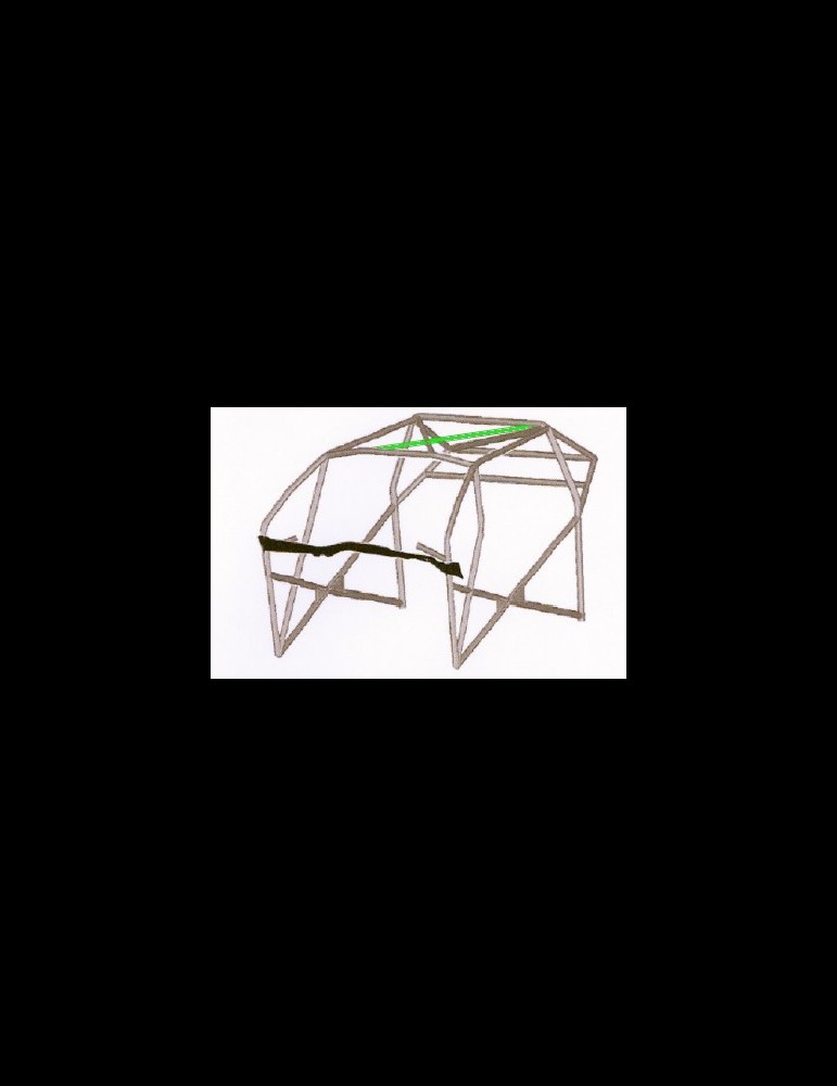 Arceau 206 RCC Multipoints FIA F2000