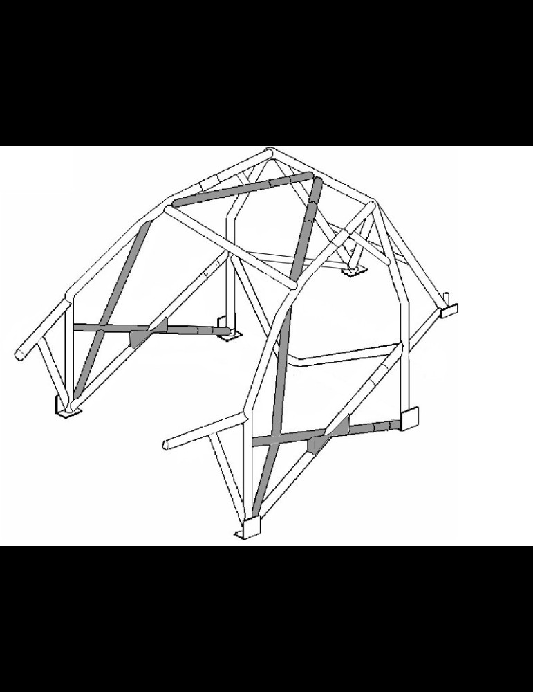 Arceau 306 Multipoints Evo FIA F2000 / VHC