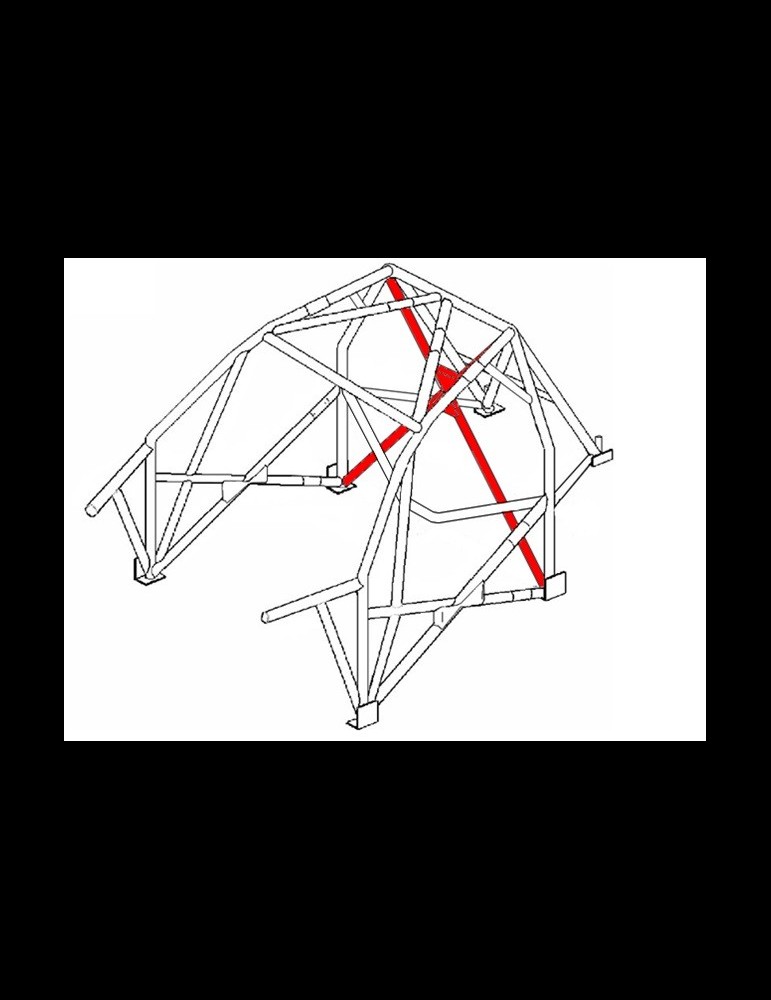 Arceau 306 Multipoints Evo 2 FIA F2000 / VHC