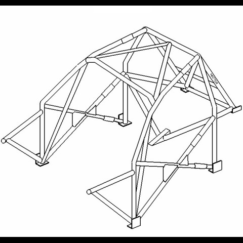 Arceau Clio Williams Multipoints Evo FIA / VHC