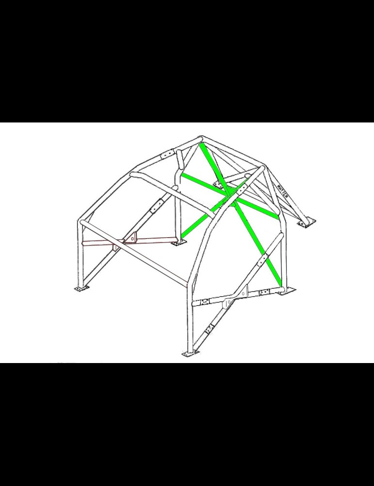 Arceau Clio 2 Cup Rallye F2000 6 points FIA