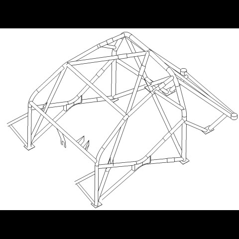 Arceau Clio 3 RS Multipoints Gr N/A/F2000 FIA