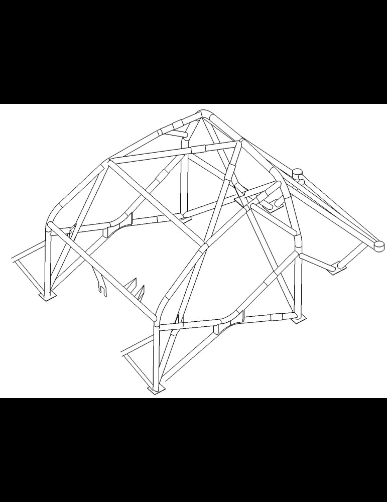 Arceau Clio 3 RS Multipoints Gr N/A/F2000 FIA