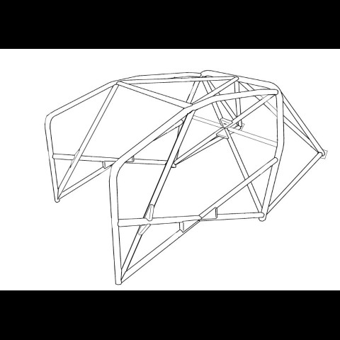 Megane 4 RS Gr N/A/F2000 6 points FIA