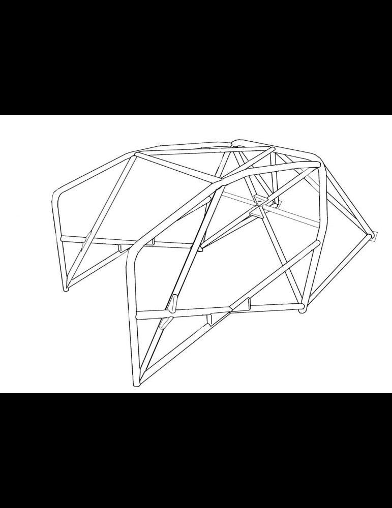 Arceau Megane 4 RS Gr N/A/F2000 6 points FIA