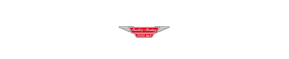 Austin Healey